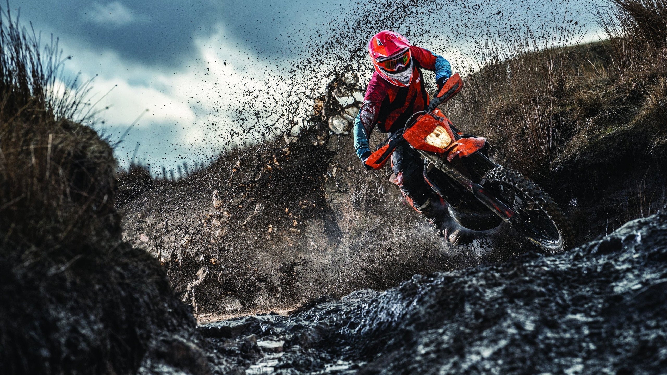 职业联赛与科技公司合作开发战术模拟训练平台，omg战术竞技俱乐部